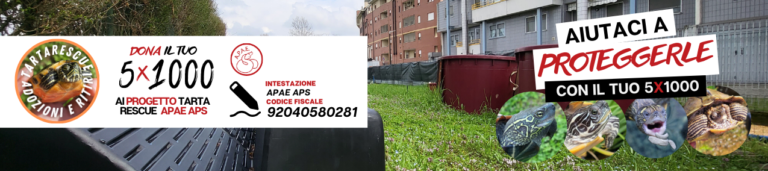 gecorescue rifugio rettili