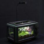 featured-image-4